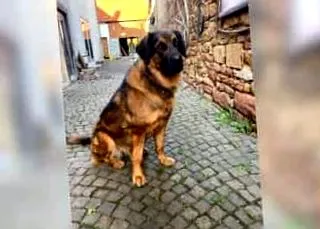apróhirdetések eladása