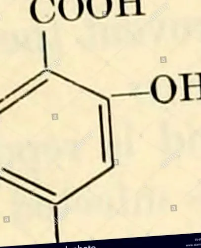 b-vitaminok