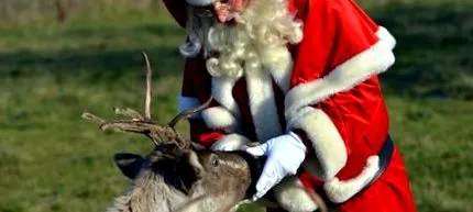 rudolf