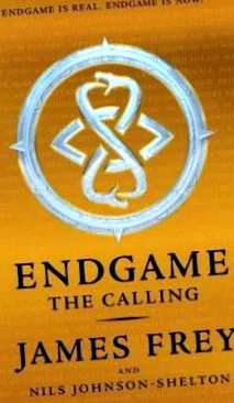 nils endgame