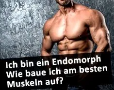 endomorph
