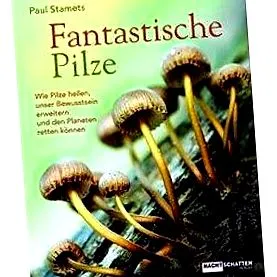paul fantasztikus