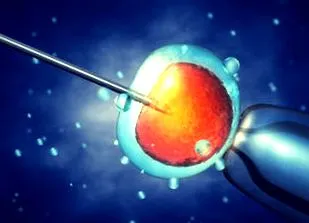 inseminarea