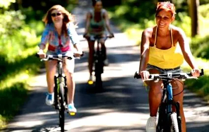 sportive