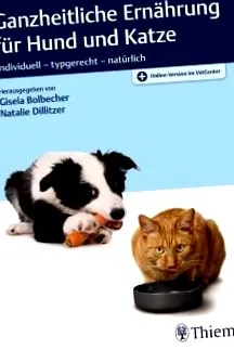 holistică