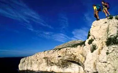timp