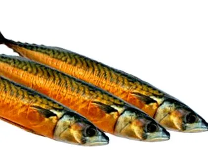 okossá