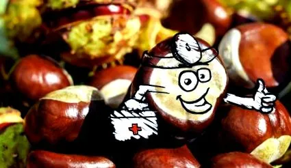 castane