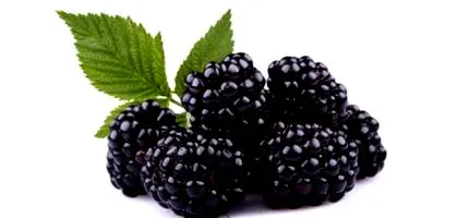 fruktóz