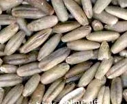 nutriție