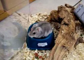 многу добро
