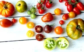 fructe