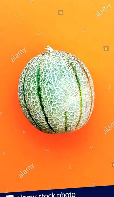 pepene galben
