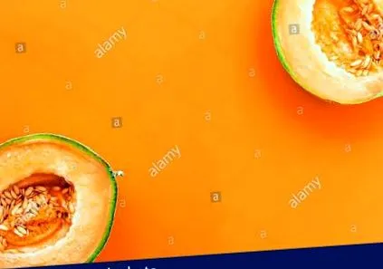 dulce cucumis melo