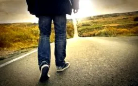 travel travel