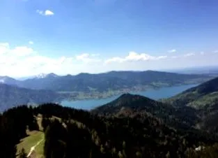 kolbásszal dióval