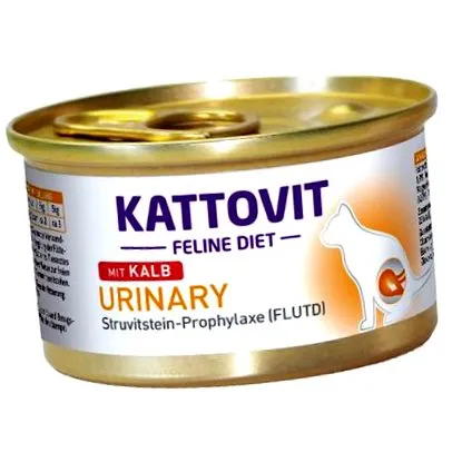 мачки