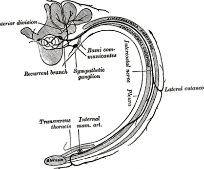 amikor neuralgia