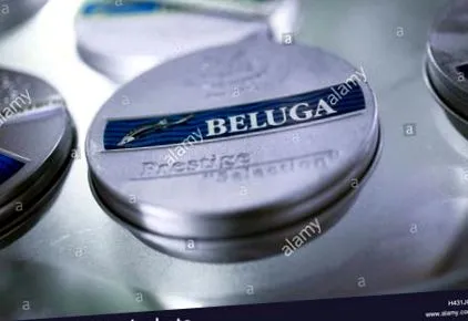 beluga