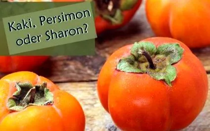 persimmon sharon