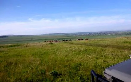 иркутск