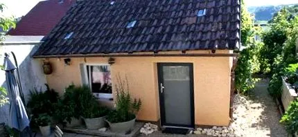 katzen