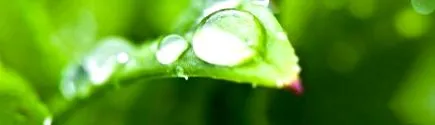 naturopat kerstin