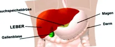 structura