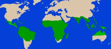 éghajlati
