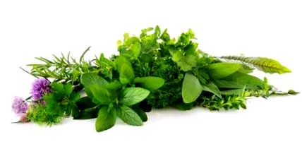 menta