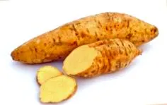olyan