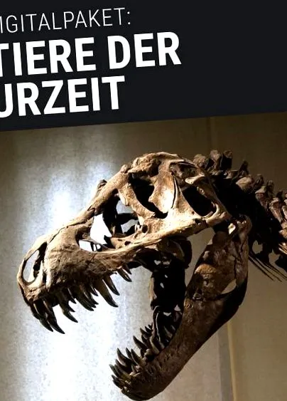 óriási óriási
