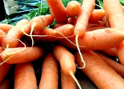nutriție