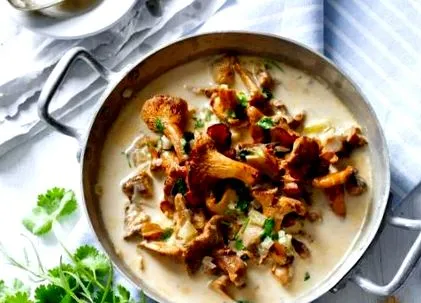 chanterelles