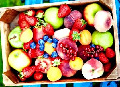 fructe