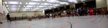 szerzője tollaslabda