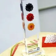 polynature