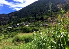tibeti