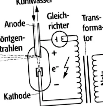 biochimie biologie moleculară