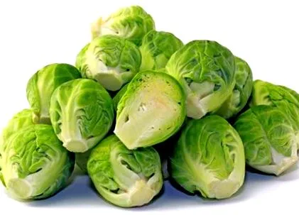 papuci papuci