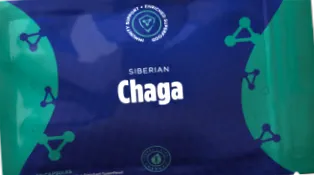 chaga
