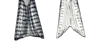 sárkány