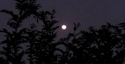 declin luna
