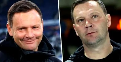 hertha dardai