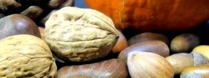 omega-3 zsírsavat