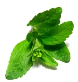 alimente stevia