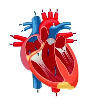 ischemia ischemia