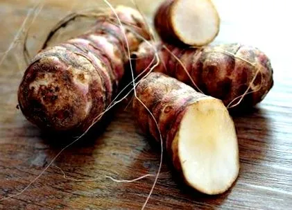 mânați