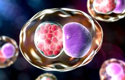 chlamydia