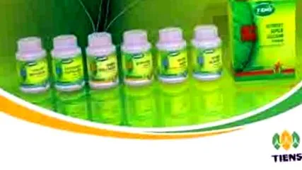 filozofia gmbh